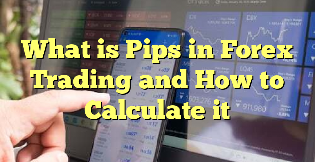 What is Pips in Forex Trading and How to Calculate it